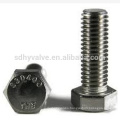 Fasteners Manufacturers Stainless Hex Bolt Stainless Steel Hex Bolt